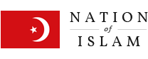 Nation of Islam logo